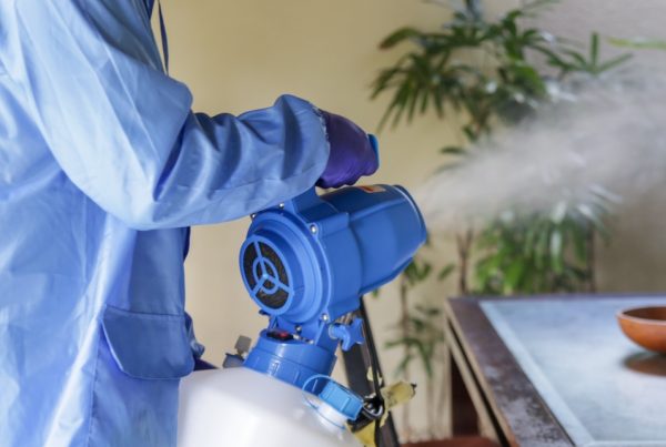 Professional Disinfection Service: Expert Spraying Fogging Machine